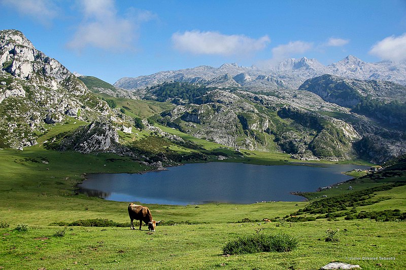 Lacs de Covadonga
