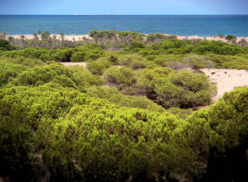 Guardamar del Segura