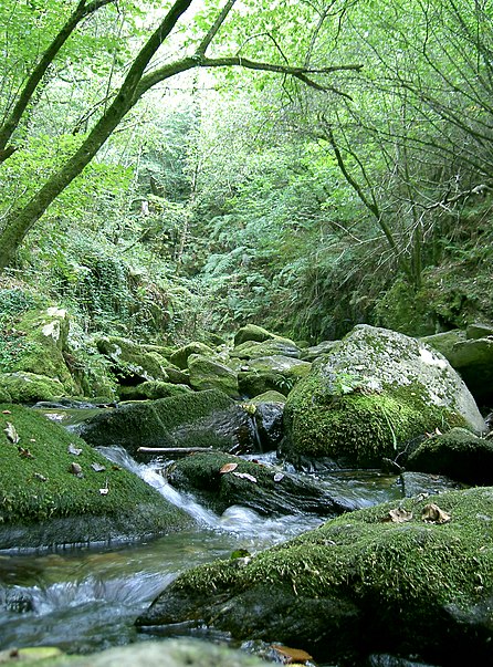 Parque natural de las Fragas del Eume