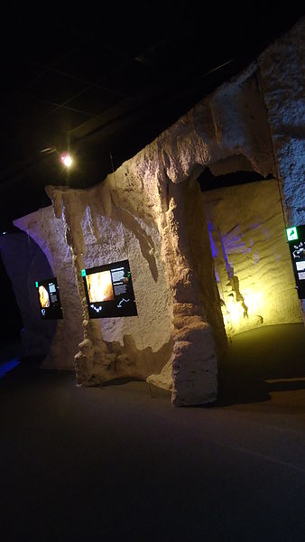 Tito Bustillo Cave