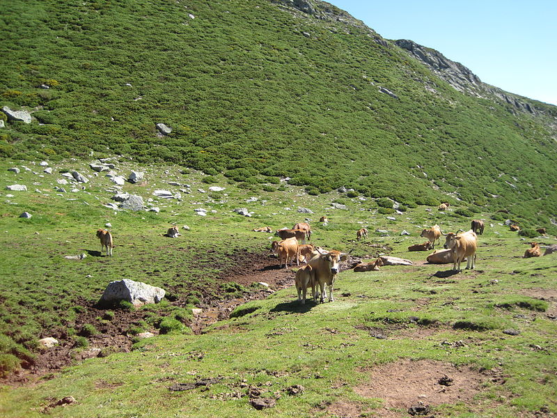 Sierra de Híjar