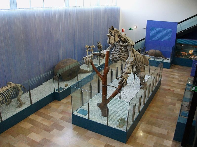 Museu de Ciències Naturals