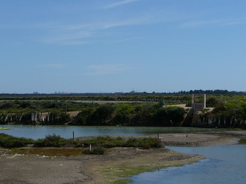 Bahía de Cádiz Natural Park