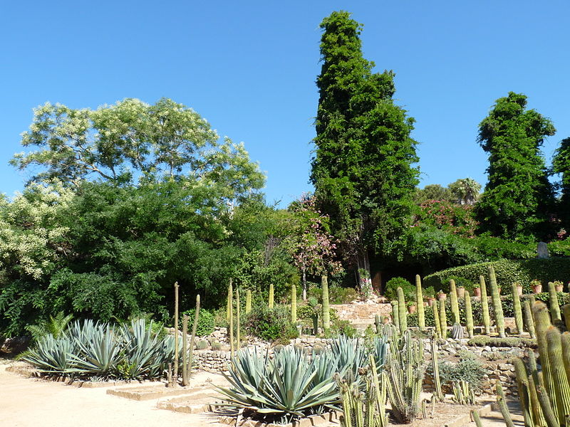 Jardín botánico Pinya de Rosa