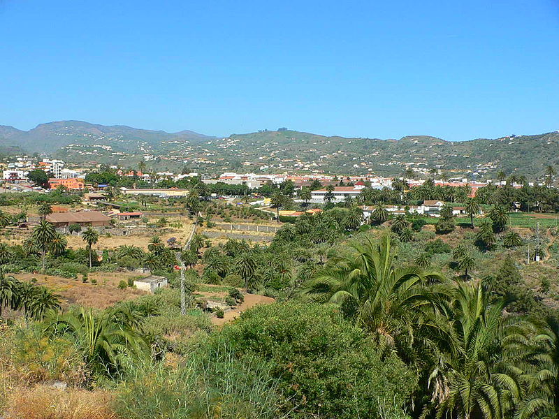 Santa Brígida