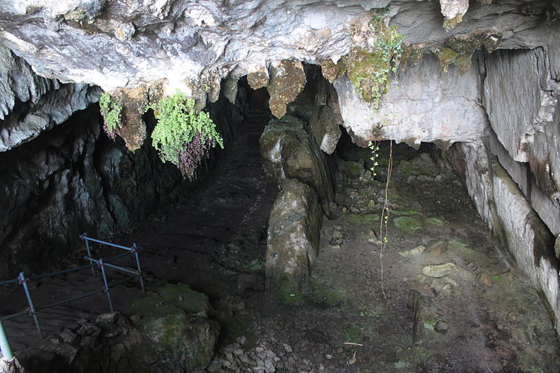 Cueva el Pindal