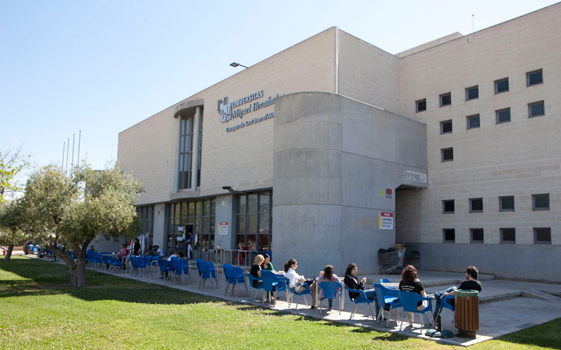 Université Miguel-Hernández