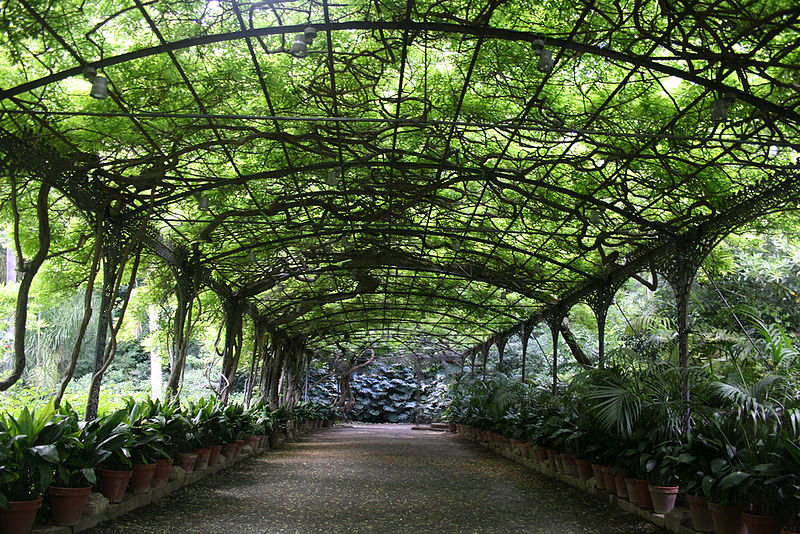 Jardín Botánico La Concepción