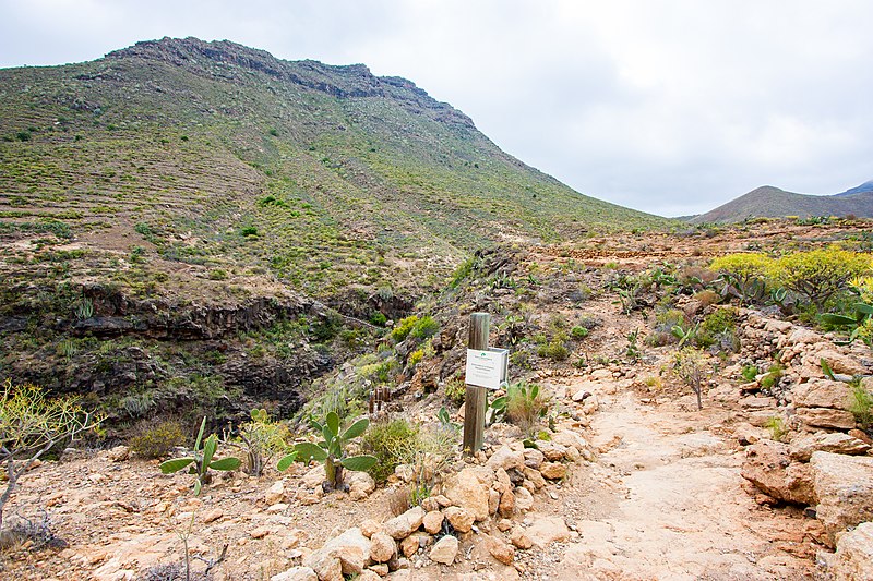 Roque del Conde