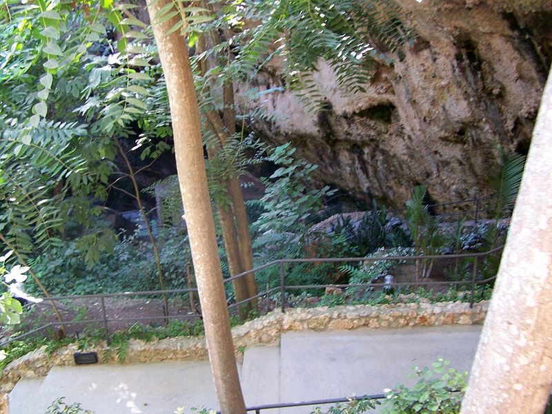 Grottes dels Hams