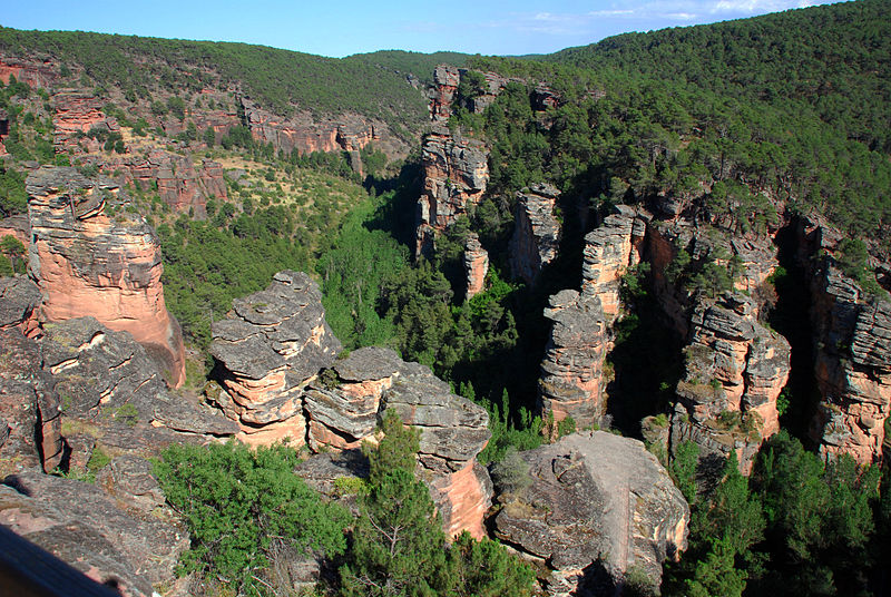 Alto Tajo Nature Reserve