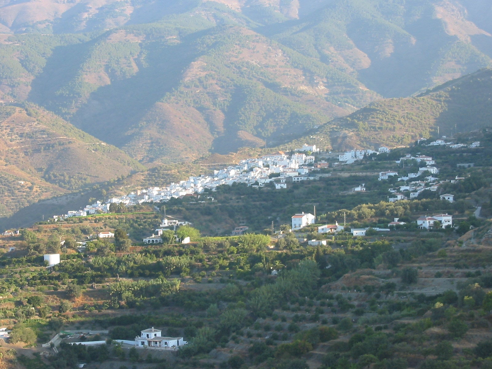 Canillas de Albaida, España