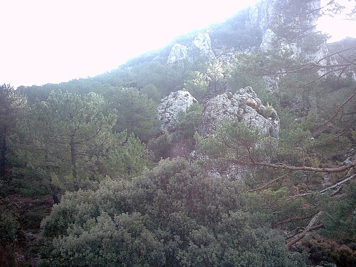 Parque natural de Sierra de Huétor, España