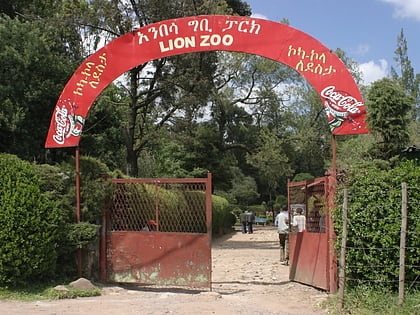 zoo addis ababa