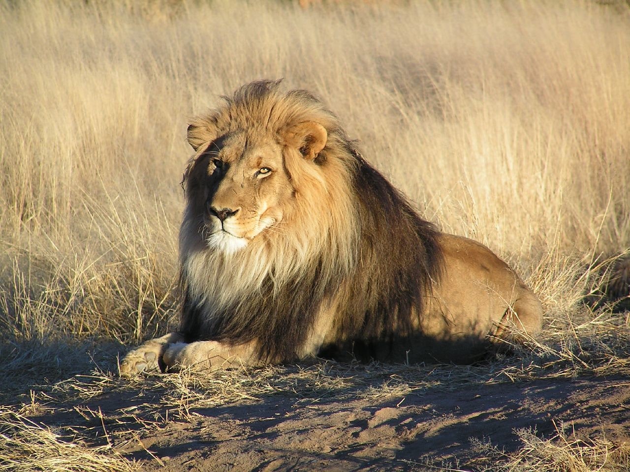 Sanctuaire de la vie sauvage de Harar, Éthiopie