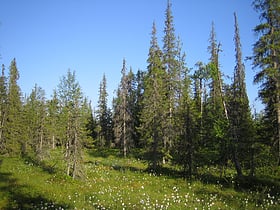 syote national park