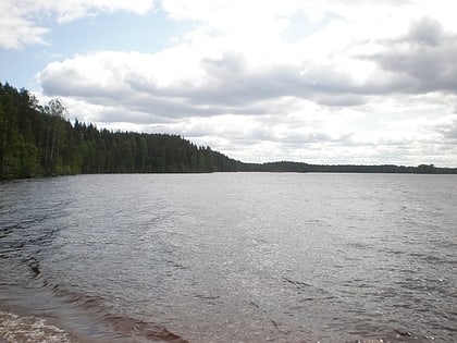 Rutajärvi