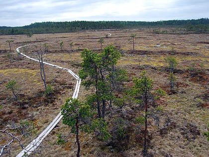 Park Narodowy Puurijärvi-Isosuo