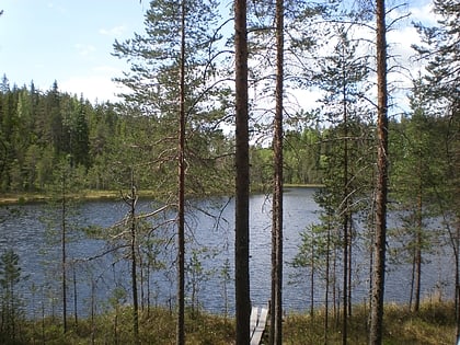 Park Narodowy Leivonmäki