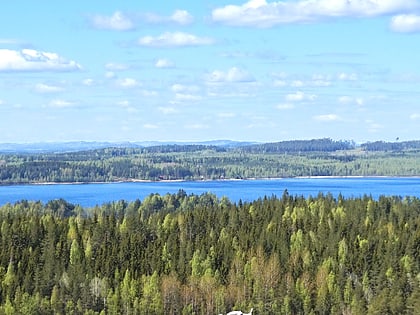 Lievestuoreenjärvi