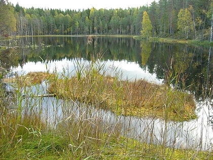 Park Narodowy Isojärvi