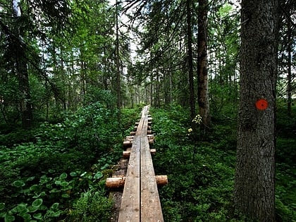 Petkeljärvi National Park