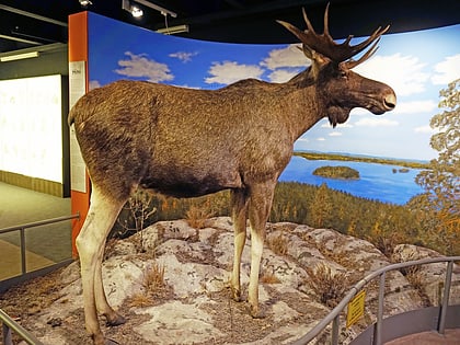 Musée d'histoire naturelle de Tampere