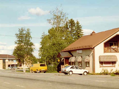 Karijoki