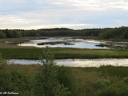 Vallonjärvi