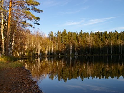 Suolijärvi