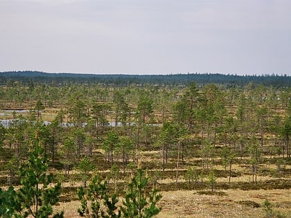 Park Narodowy Kauhaneva-Pohjankangas