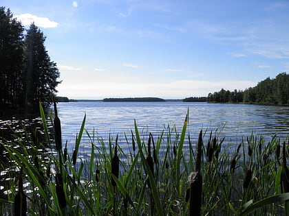 Kuohijärvi