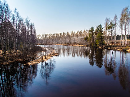 Viekijärvi