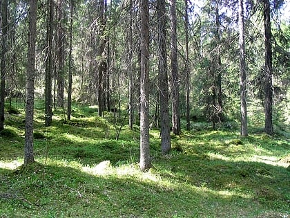 Parc national de Liesjärvi
