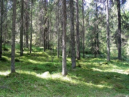 Liesjärvi National Park