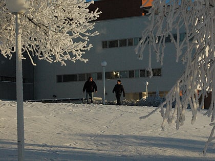 university of vaasa
