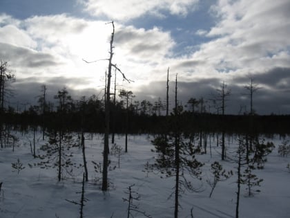 Pyhä-Häkki National Park