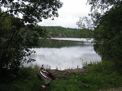 Isojärvi