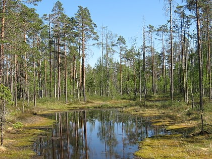 Parc national de Lauhanvuori