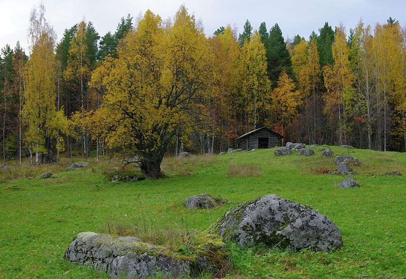 Parque nacional de Koli