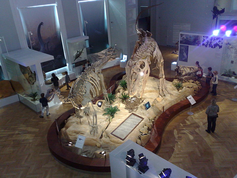 Musée d'histoire naturelle d'Helsinki