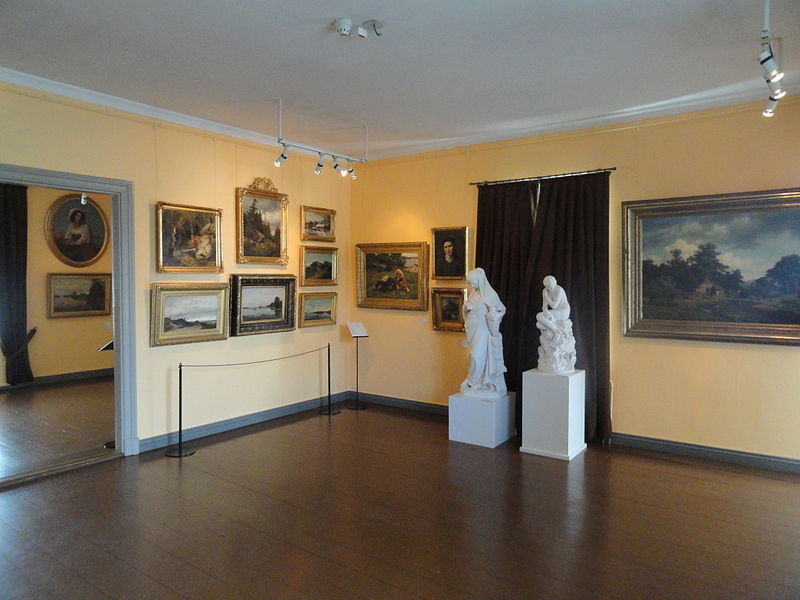 Galerie Cygnaeus