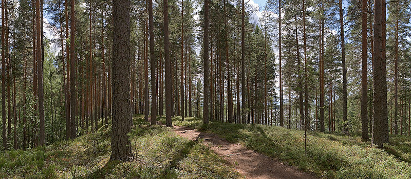 Leivonmäki National Park