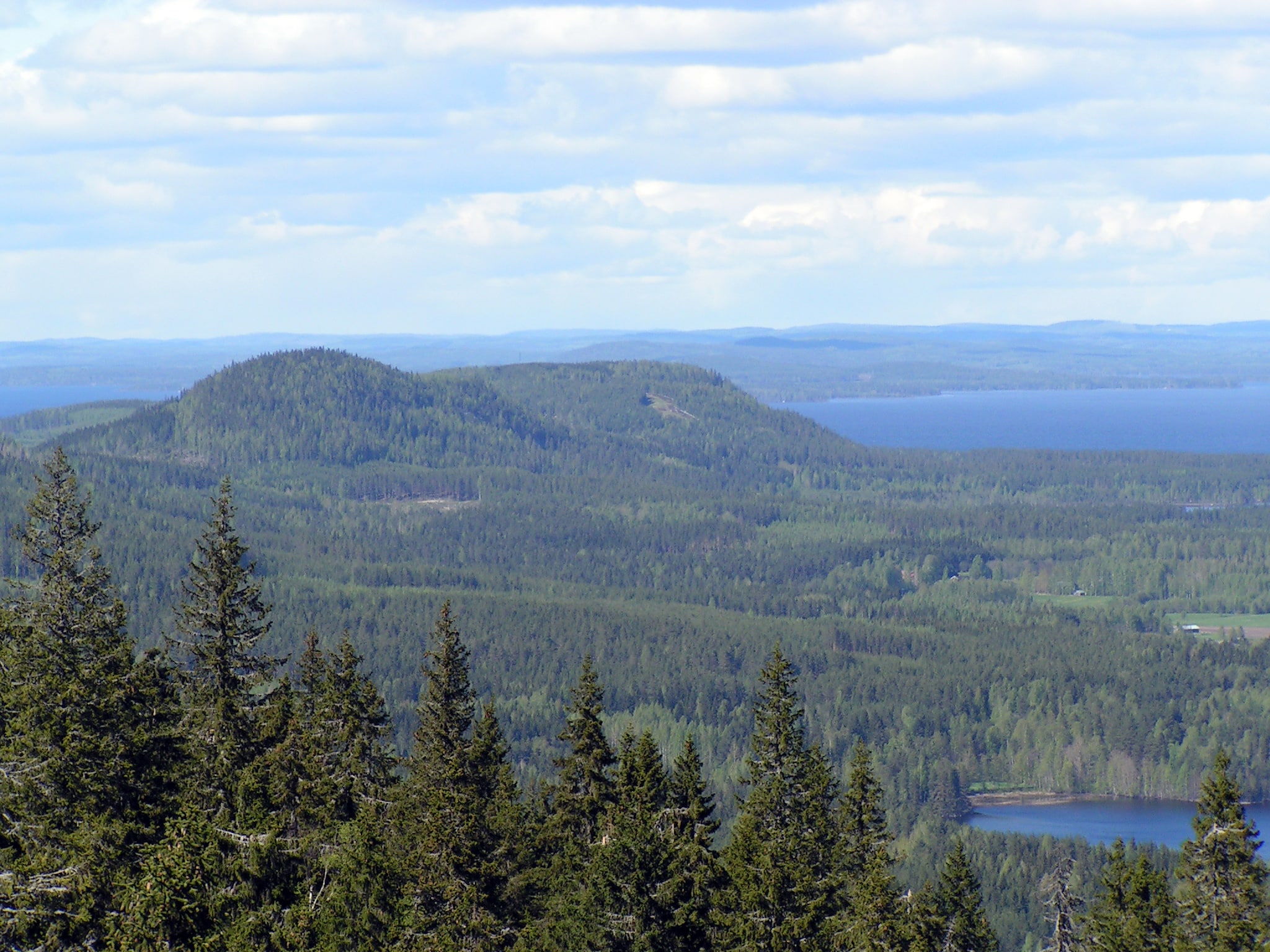 Parc national de Koli, Finlande