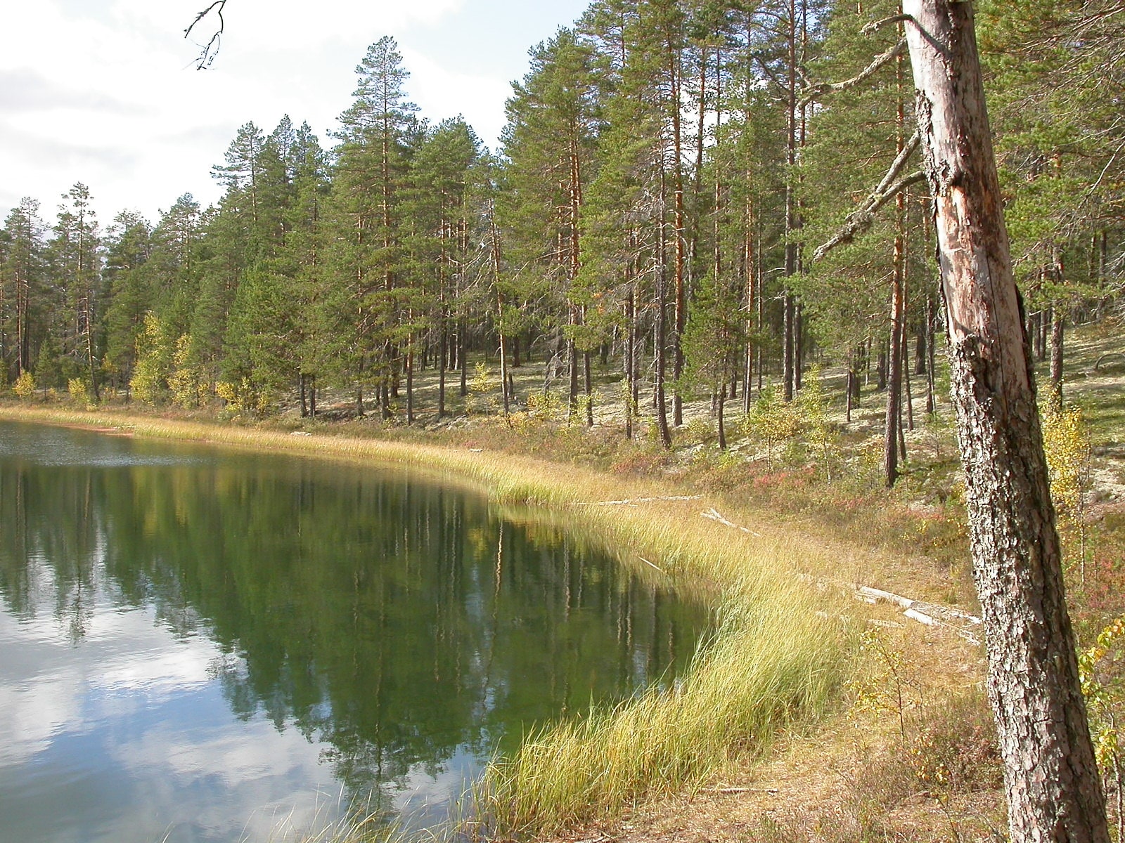 Parque nacional de Rokua, Finlandia