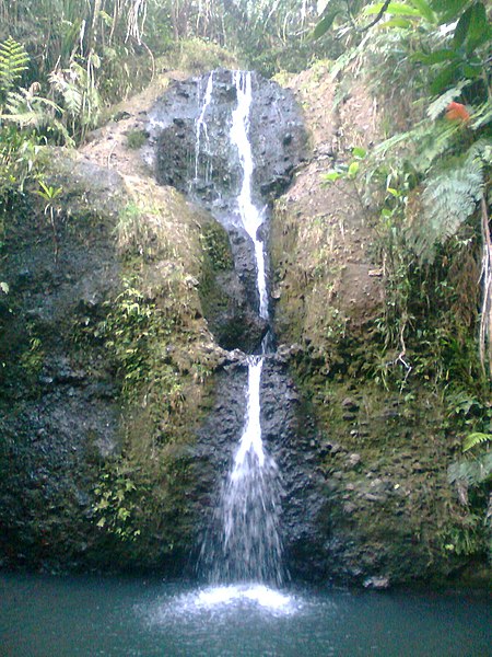 Colo-i-Suva Forest Reserve