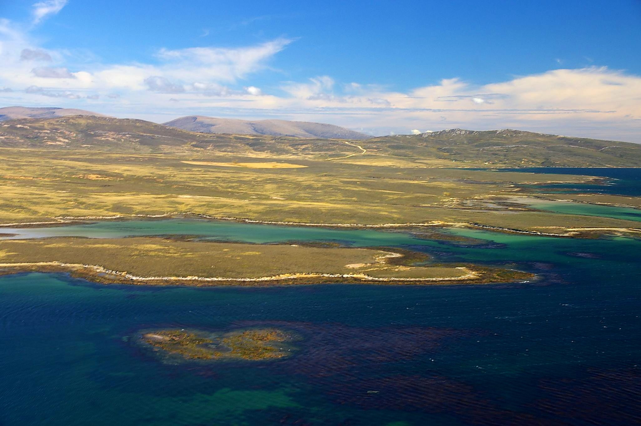 Falkland Zachodni, Falklandy