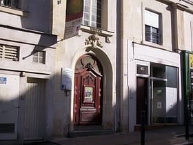 Muséum d'histoire naturelle d'Angers