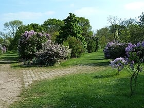 Arboretum de l'École du Breuil