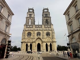 katedra sw krzyza orlean